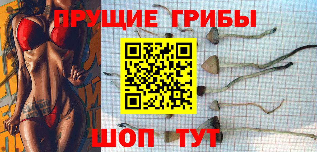 Люберцы  Псилоцибиновые грибы мицелий  Псилоцибиновые грибы GOLDEN TEACHER  Вход с VPN 
